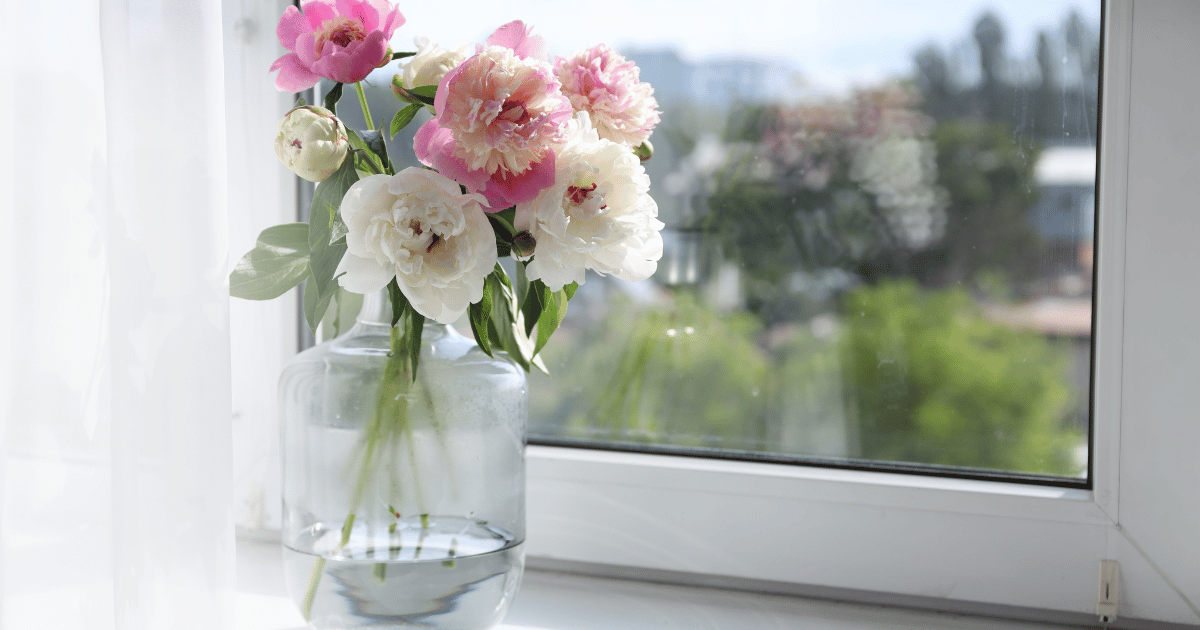 Feel the Spring Reset: How Your Home’s Air Affects Mood and Energy