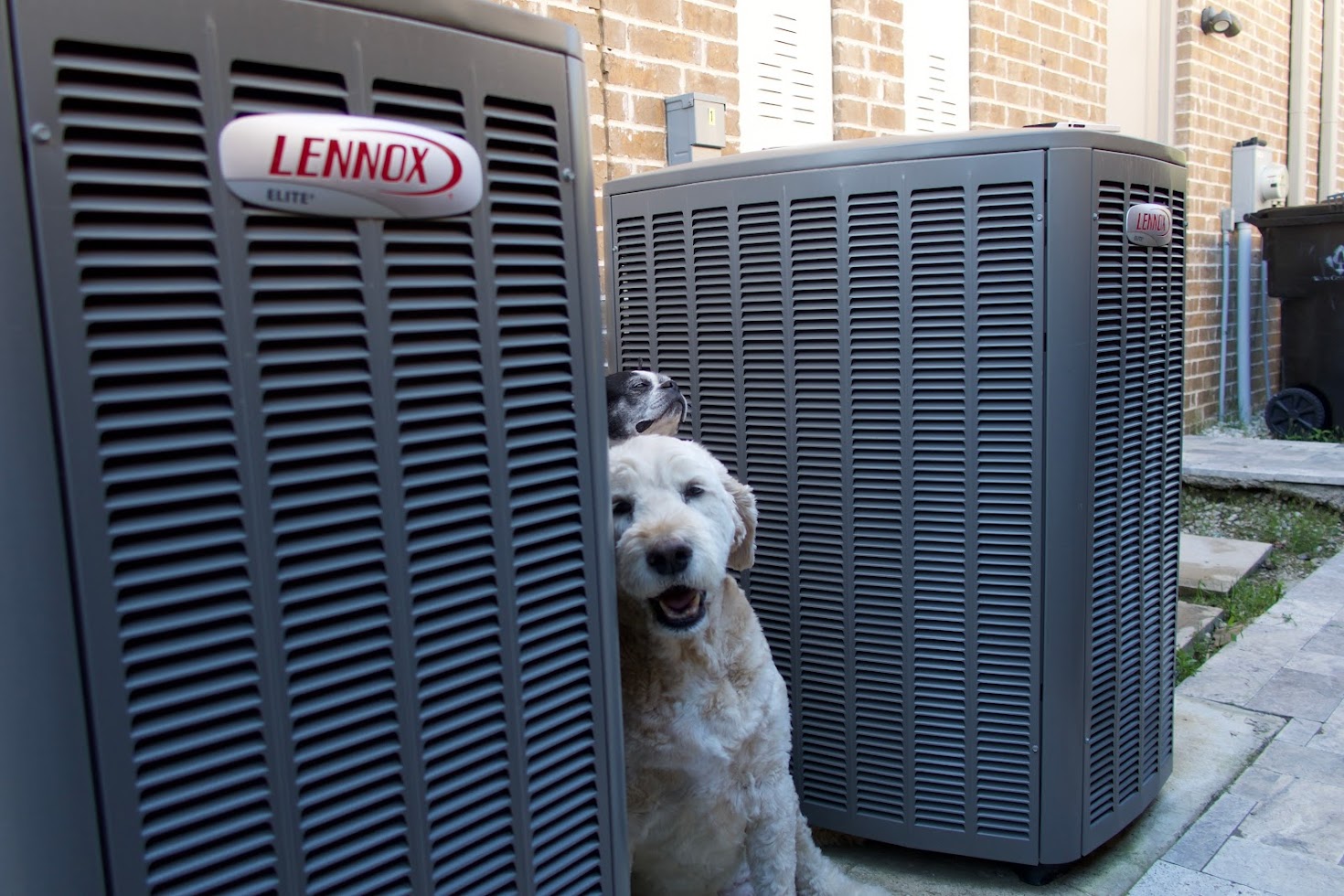 Pet-Proofing Your HVAC System