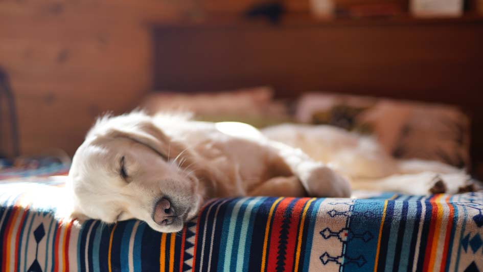 Restful sleep in a home kept comfortable year-round